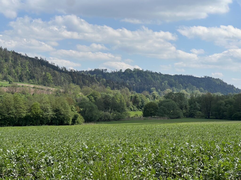 Der Ausblick ins Altmühltal